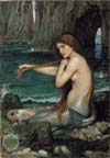 A Mermaid (1901)