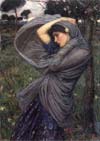 Boreas (1902)