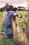 The Flower Picker (1900)